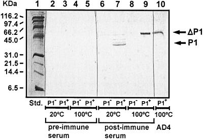 FIG. 6