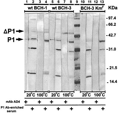 FIG. 3