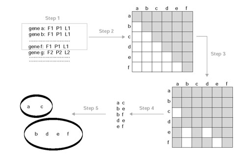 Figure 8