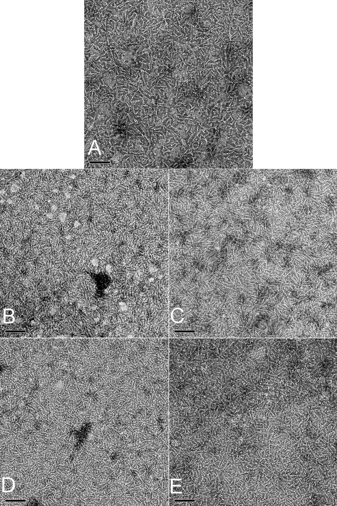 Fig. S2.