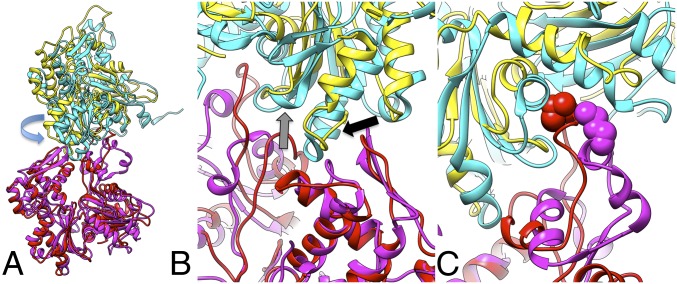 Fig. 2.