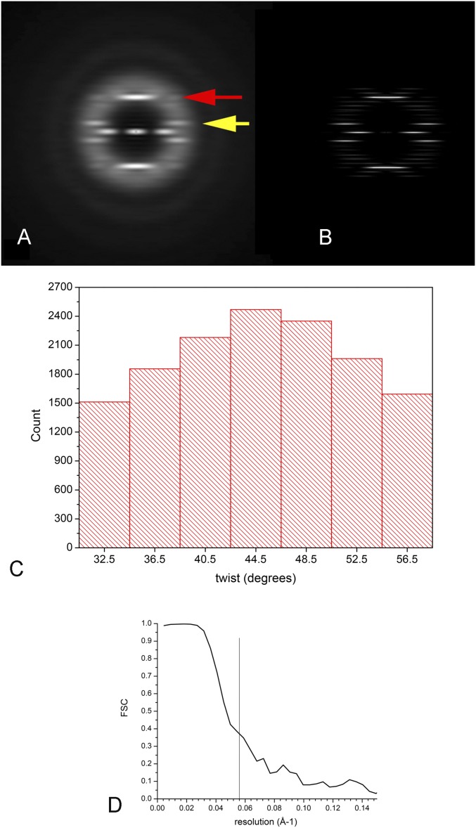 Fig. S1.