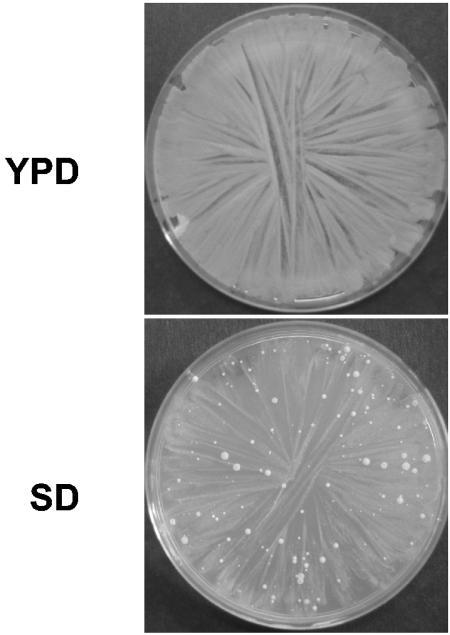 FIG. 5.