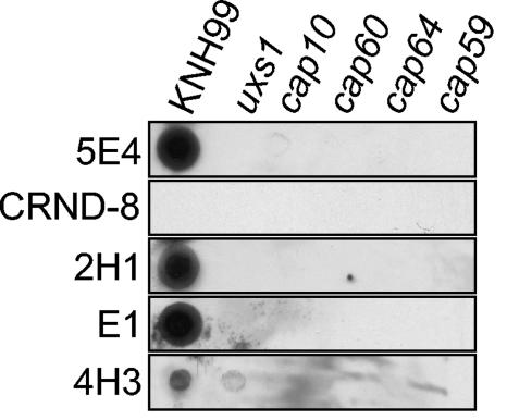 FIG. 6.