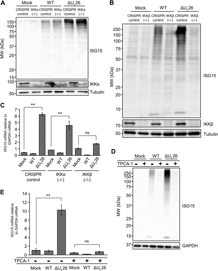 FIG 6