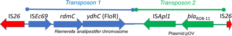 Fig 2