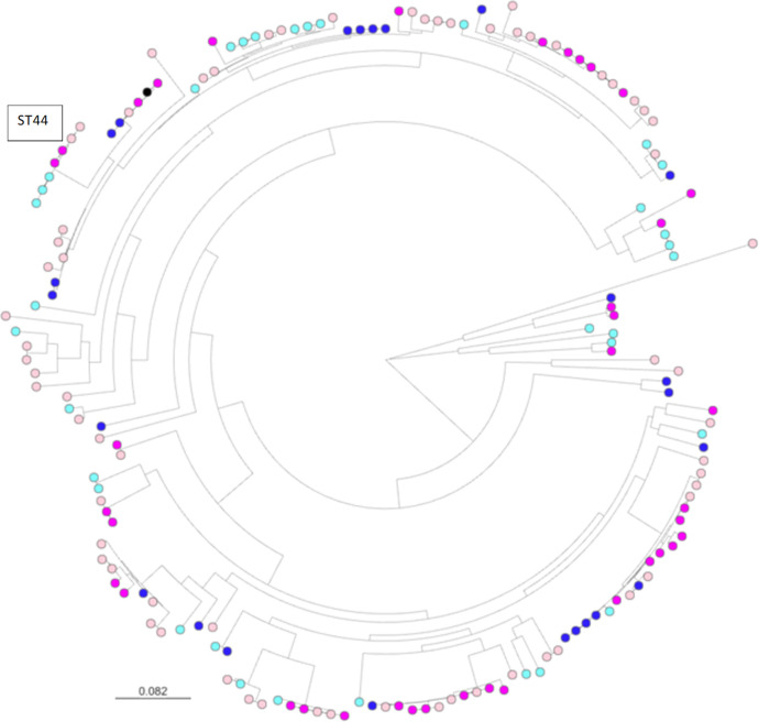 Fig 3