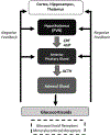 Figure 1-