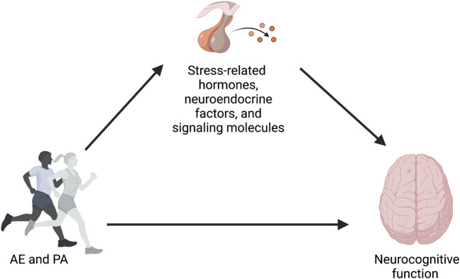 FIGURE 1