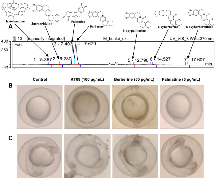 Fig 8