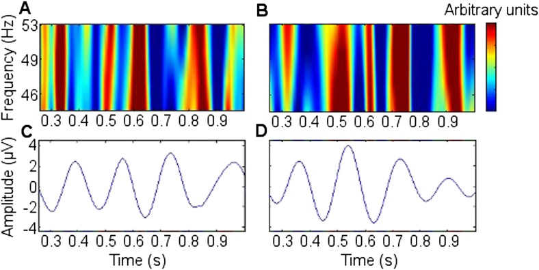 Figure 3—figure supplement 2.