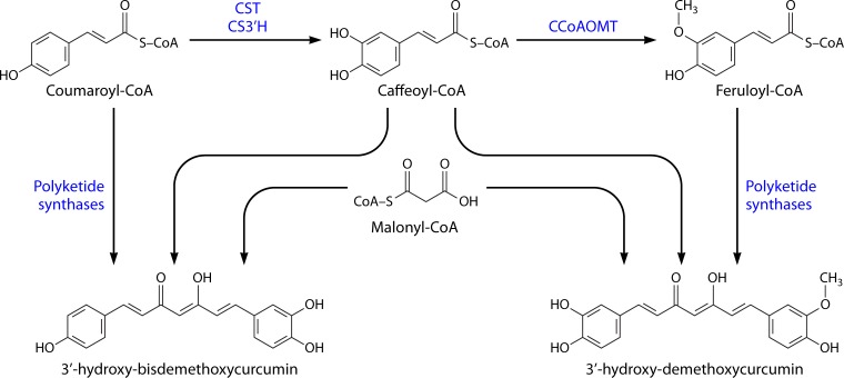 FIG 2