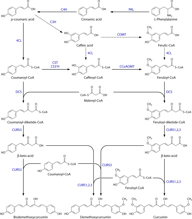 FIG 1