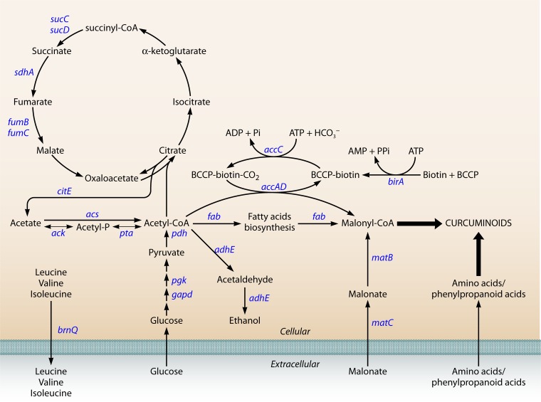 FIG 6