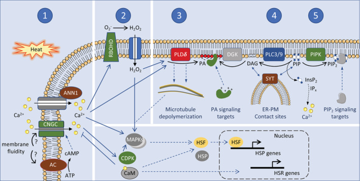 FIGURE 4