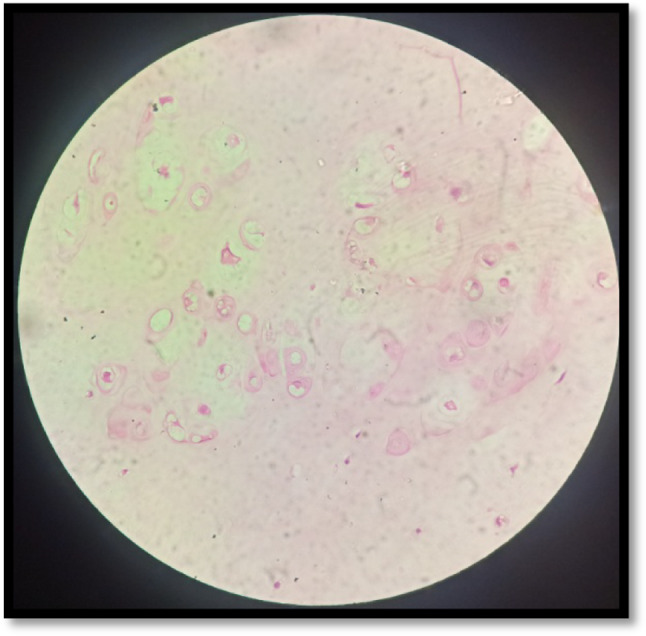 Fig. 9