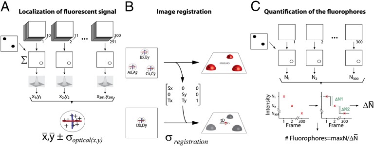 Fig. 2.