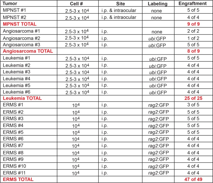 Figure 2—figure supplement 1.