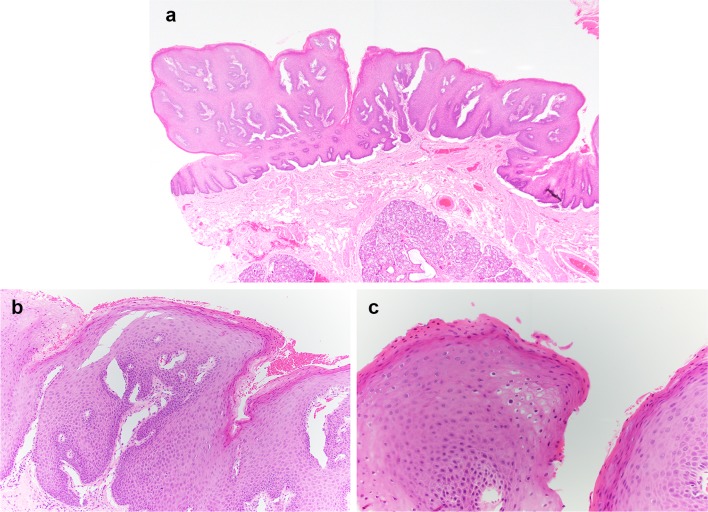 Fig. 6