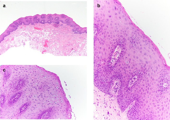 Fig. 8