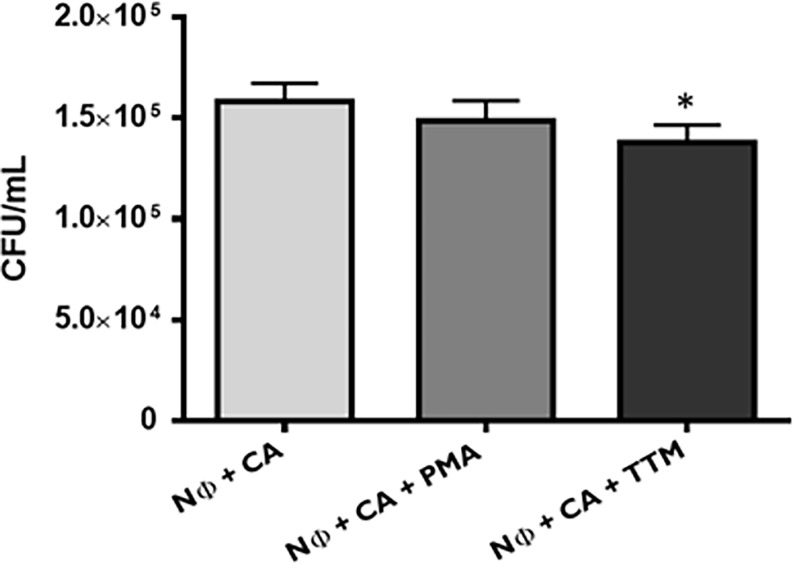 Figure 7