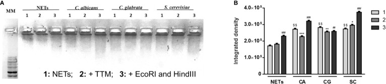 Figure 6