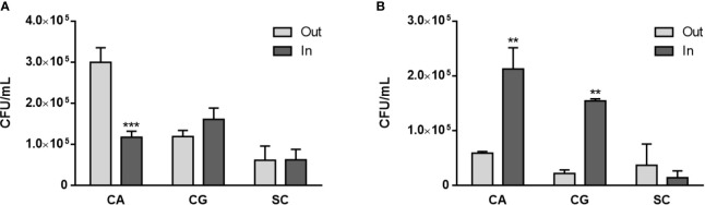 Figure 5