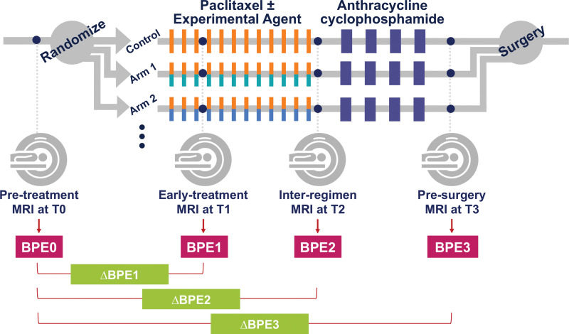 Study schema. Patients were randomized to one of 10 drug arms (nine experimental drug arms and a standard of care control arm). An experimental agent or combination may substitute for part of the standard therapy (paclitaxel). Each patient underwent MRI examinations at four points during neoadjuvant chemotherapy. BPE0 = background parenchymal enhancement at T0, BPE1 = background parenchymal enhancement at T1, BPE2 = background parenchymal enhancement at T2, BPE3 = background parenchymal enhancement at T3, ΔBPE1 = percent change of background parenchymal enhancement relative to T0 at T1, ΔBPE2 = percent change of background parenchymal enhancement relative to T0 at T2, ΔBPE3 = percent change of background parenchymal enhancement relative to T0 at T3.