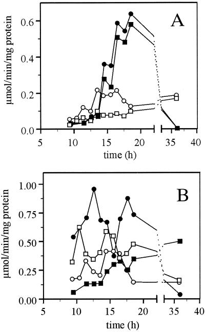 FIG. 5