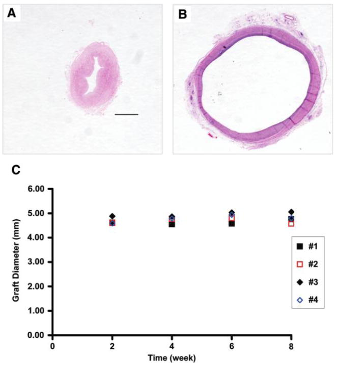 FIG. 8