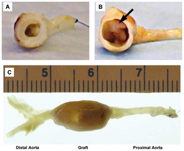 FIG. 7