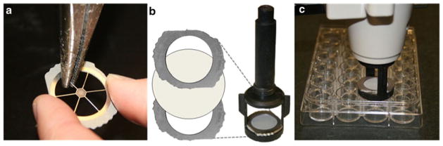 Fig. 2