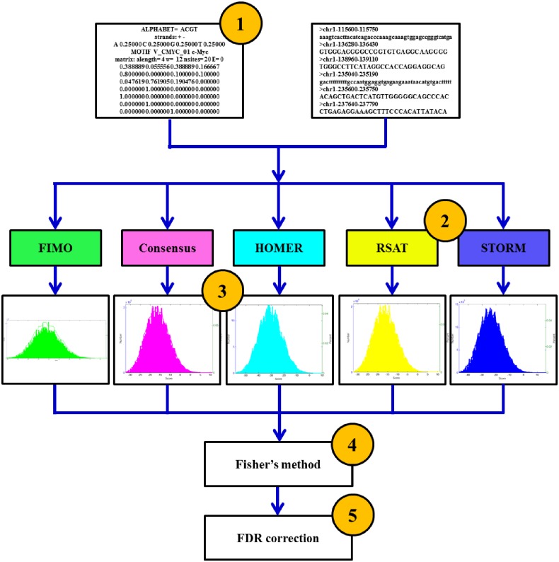 Fig 1