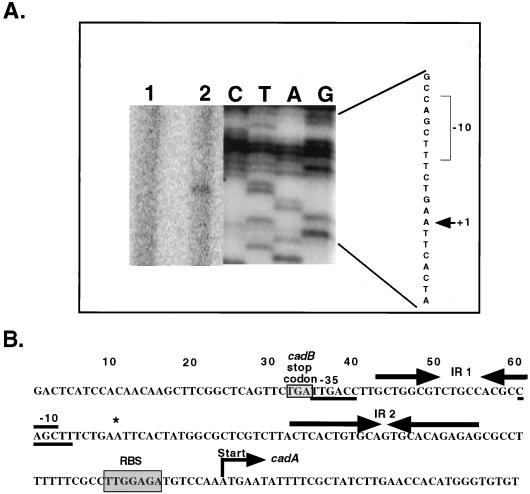 FIG. 6