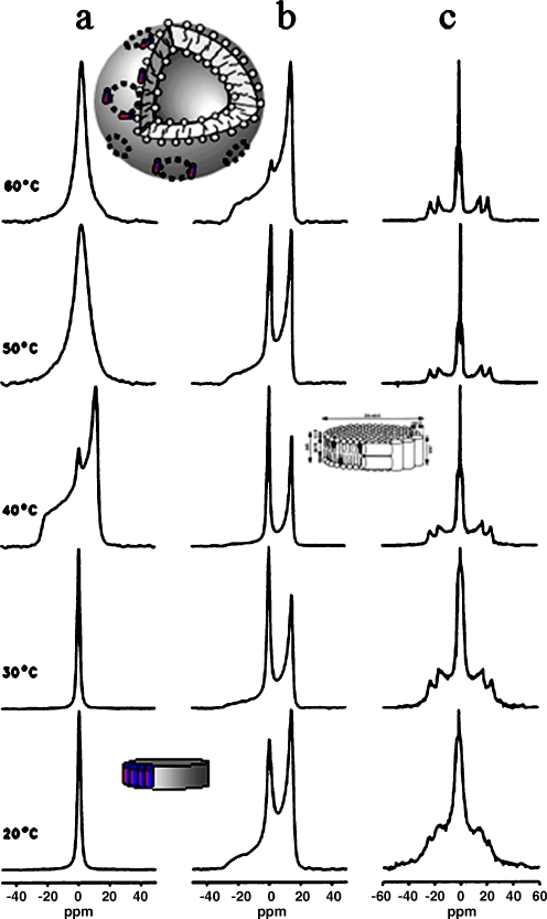 Fig. 10