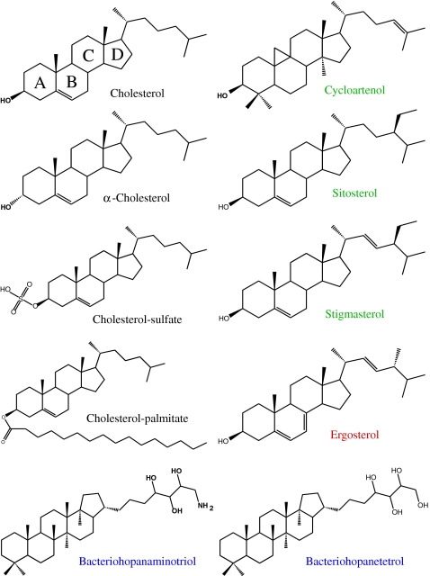 Fig. 1