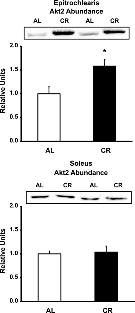 Fig. 9.