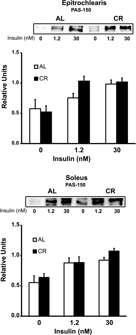 Fig. 12.