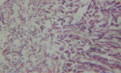Figure 27