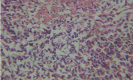 Figure 23