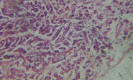 Figure 30