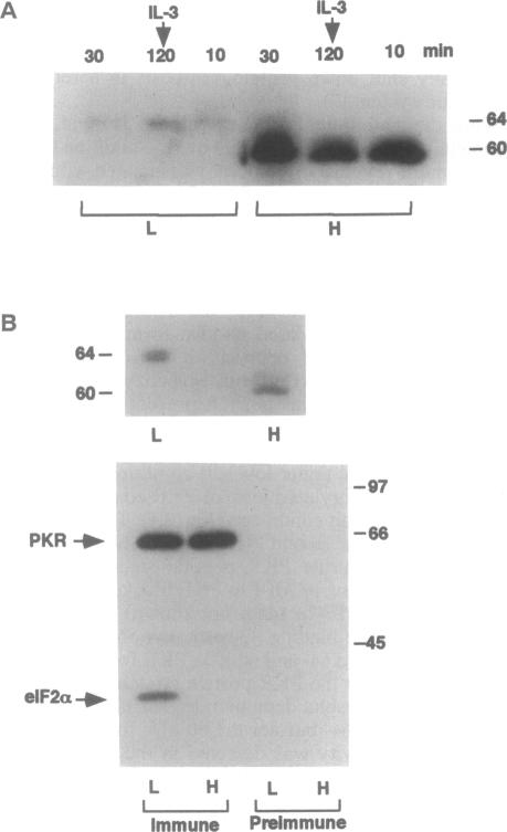 graphic file with name pnas01138-0087-a.jpg