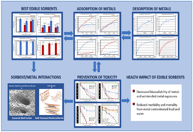 graphic file with name nihms-1634704-f0006.jpg