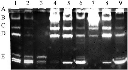 FIG. 6.