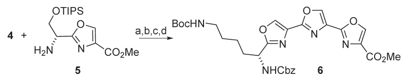 Scheme 2