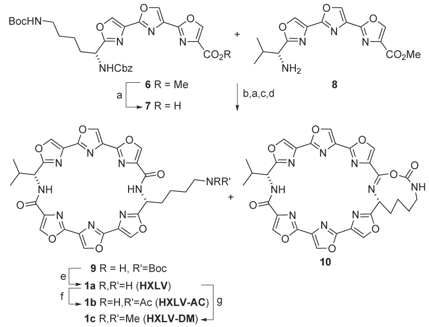 Scheme 3