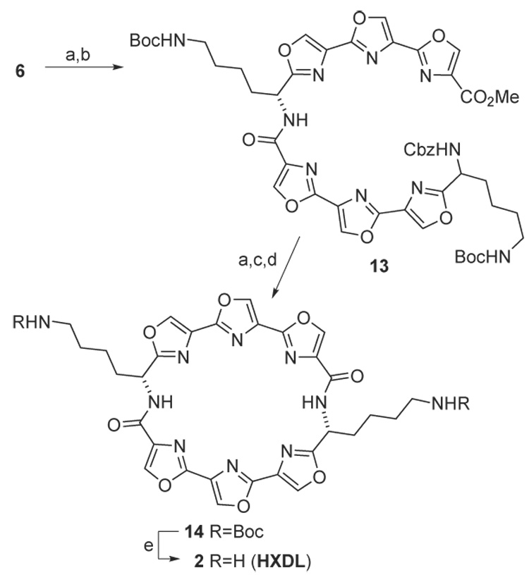 Scheme 4