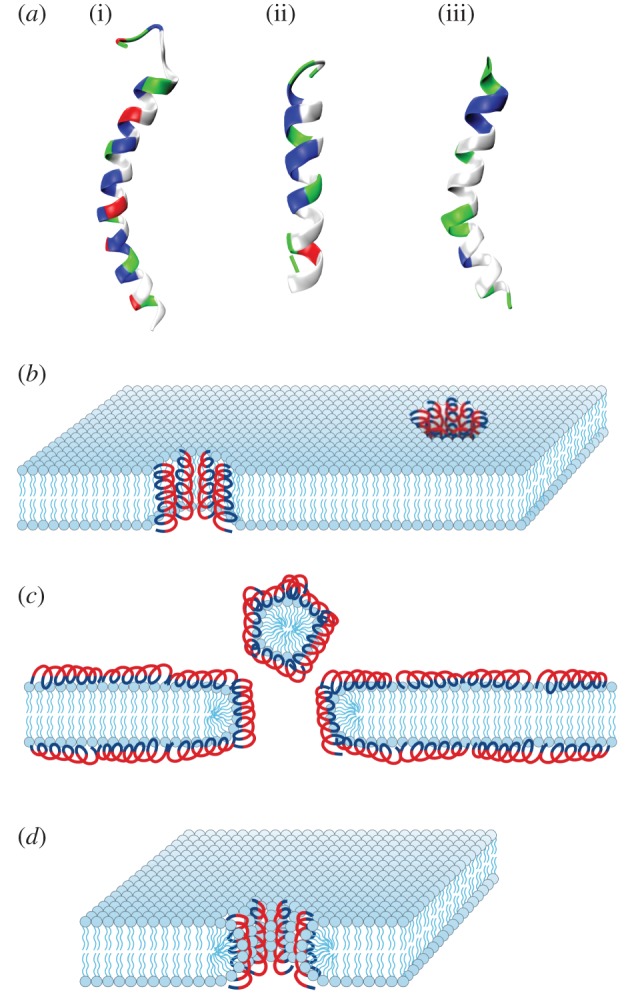 Figure 1.