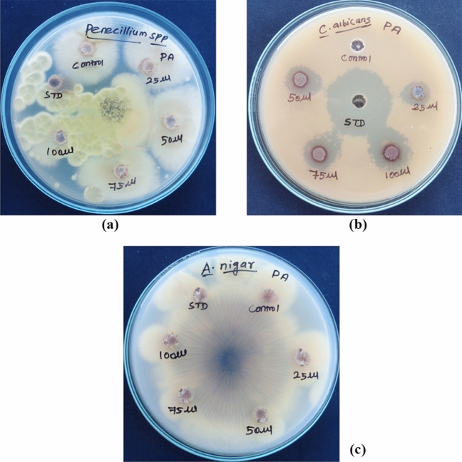 Fig. 13