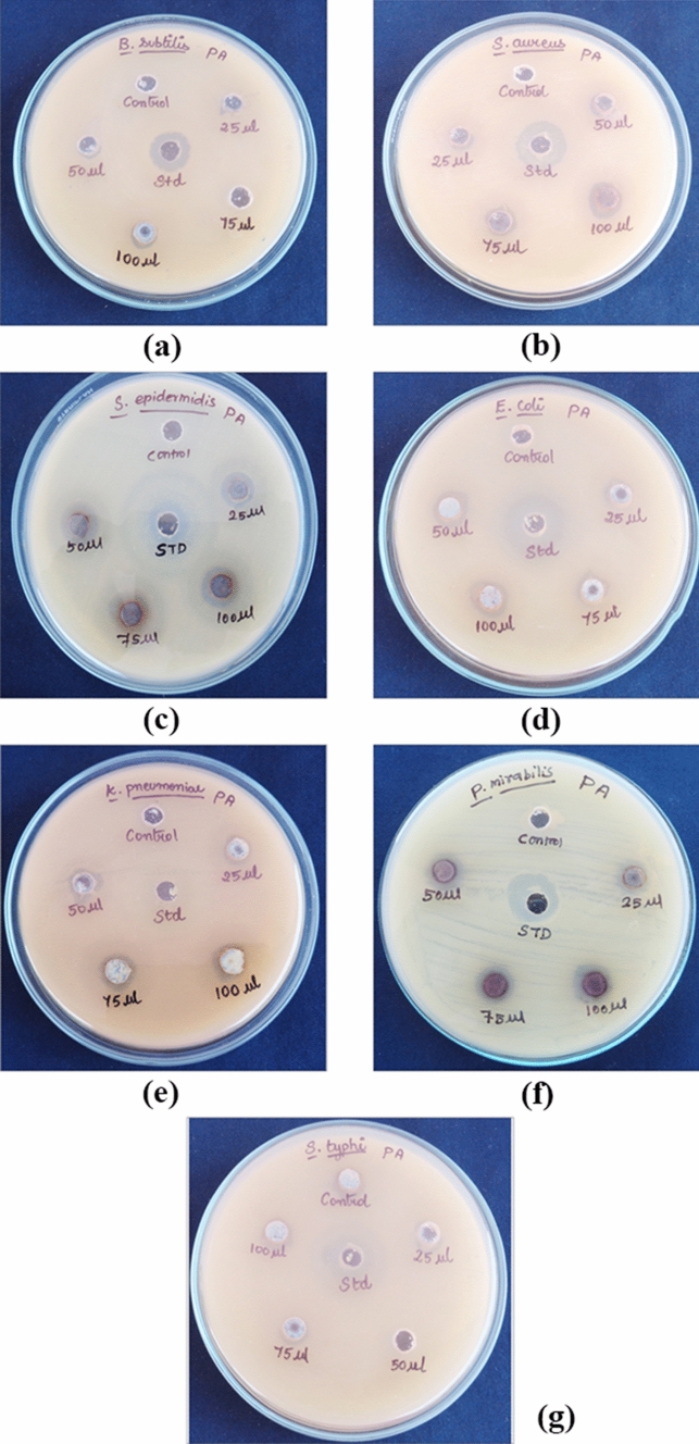 Fig. 11